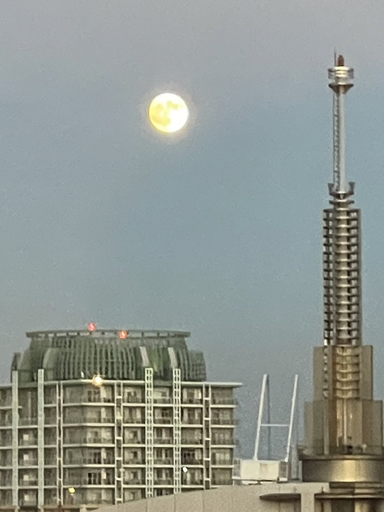 中秋の名月✨️🌕✨️-1｜世田谷・自由が丘　天使バレエスクール